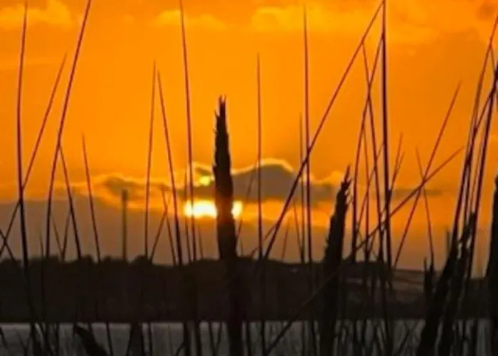 Sur La Plage / Enjoy The Beach 꺄부흐