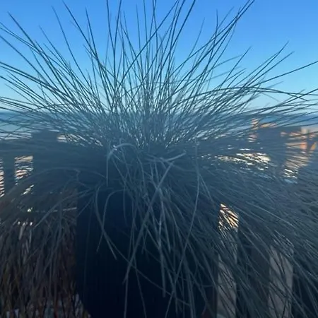 Sur La Plage / Enjoy The Beach Apartamento Cabourg