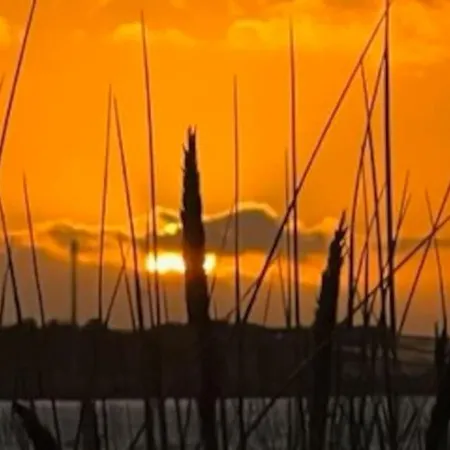 Sur La Plage / Enjoy The Beach Cabourg