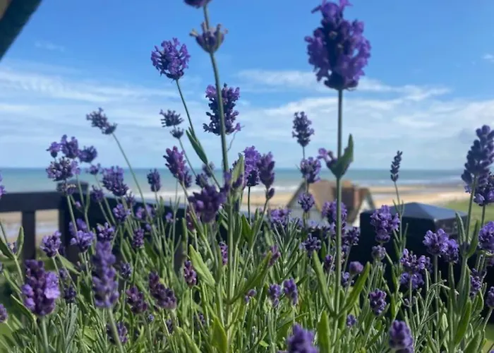Sur La Plage / Enjoy The Beach Apartment