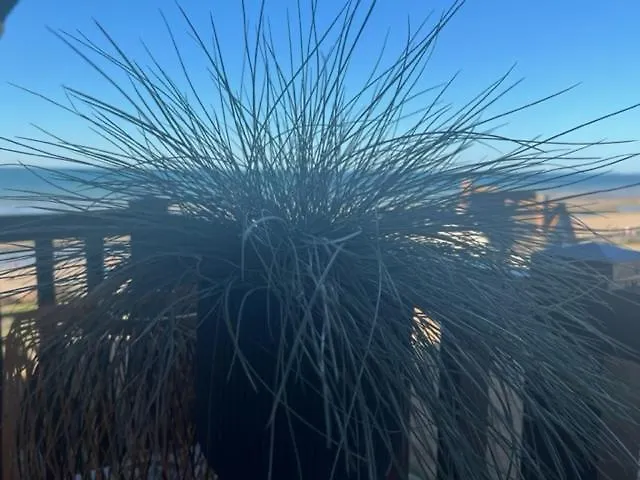 Sur La Plage / Enjoy The Beach Apartment Cabourg